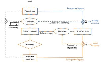 Predictive Mechanisms Are Not Involved the Same Way during Human-Human vs. Human-Machine Interactions: A Review